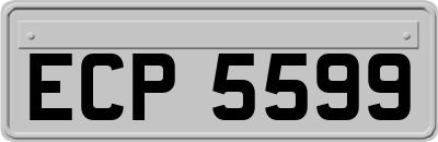 ECP5599