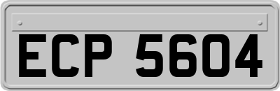 ECP5604