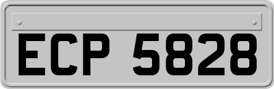 ECP5828