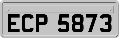 ECP5873