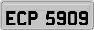 ECP5909