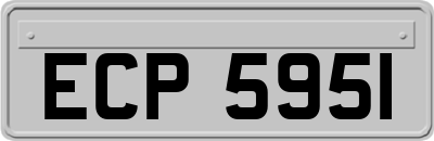 ECP5951