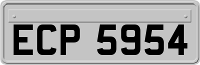 ECP5954