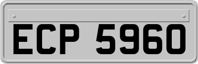 ECP5960