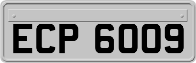 ECP6009