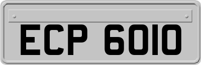 ECP6010