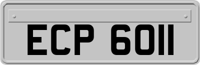 ECP6011