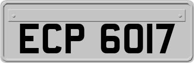 ECP6017