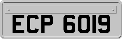 ECP6019