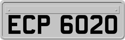 ECP6020