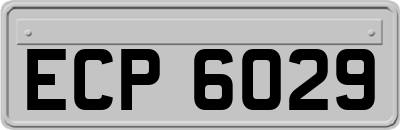 ECP6029