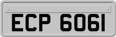 ECP6061