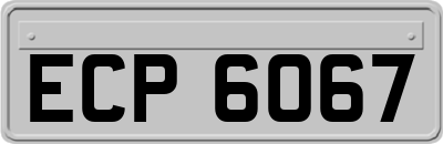 ECP6067