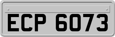 ECP6073