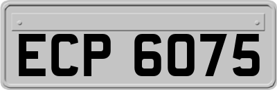 ECP6075