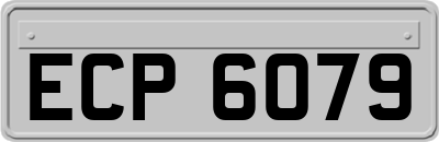 ECP6079