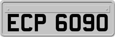 ECP6090
