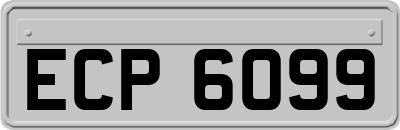 ECP6099