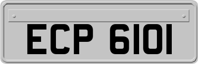 ECP6101