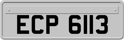 ECP6113