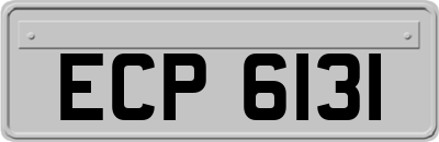 ECP6131