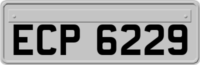 ECP6229