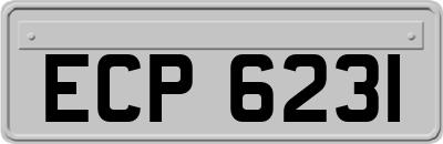 ECP6231