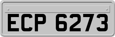 ECP6273