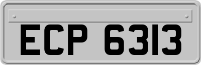ECP6313