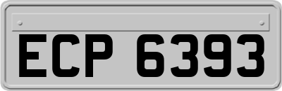 ECP6393