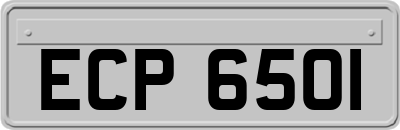 ECP6501