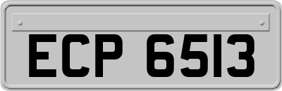 ECP6513