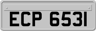 ECP6531
