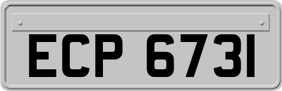 ECP6731