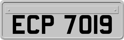 ECP7019