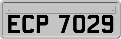 ECP7029