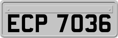 ECP7036