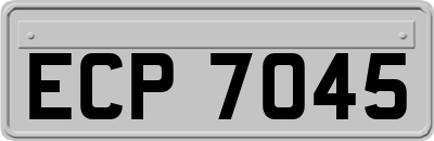 ECP7045