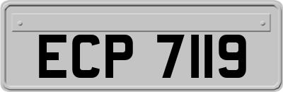 ECP7119