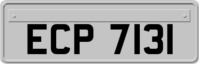 ECP7131