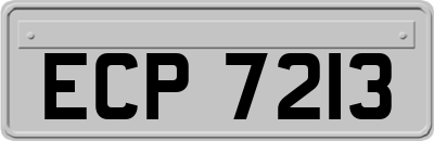 ECP7213