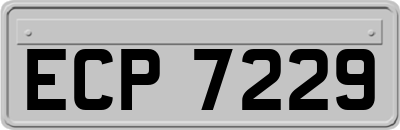 ECP7229