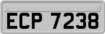 ECP7238