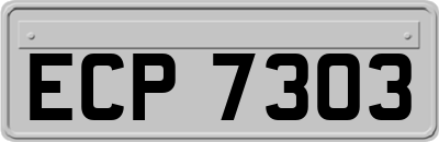 ECP7303
