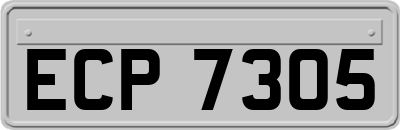 ECP7305