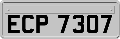ECP7307