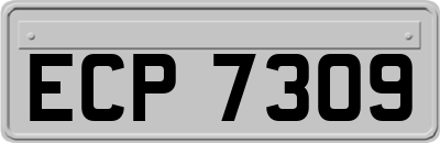 ECP7309