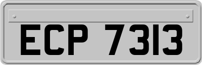 ECP7313