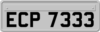ECP7333
