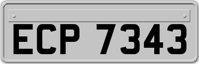 ECP7343